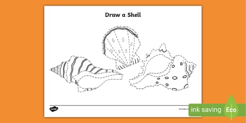 Copy the Shell Worksheet