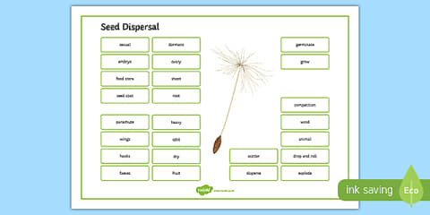 Seed Dispersal Fact File Template
