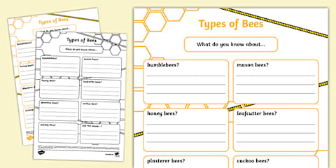 Honeybee Fact File Template