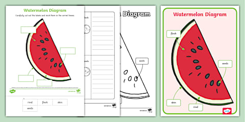 Watermelon Life Cycle Cut and Paste Worksheet for K-2nd Grade