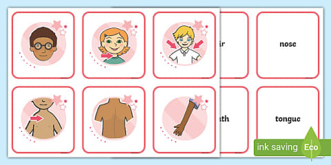 Parts Of The Body Word And Picture Matching Cards