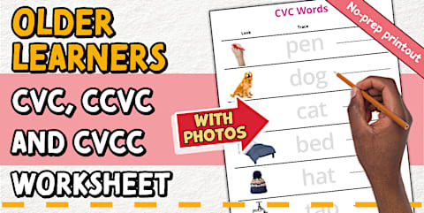 SEND Older Learners - CCVC Worksheet