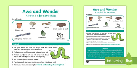KS1 A Hotel Fit for Some Bugs Recording Worksheet