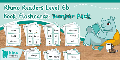 Level 2 Rhino Readers Intervention Mini-Reads: Flashcards Bumper Pack