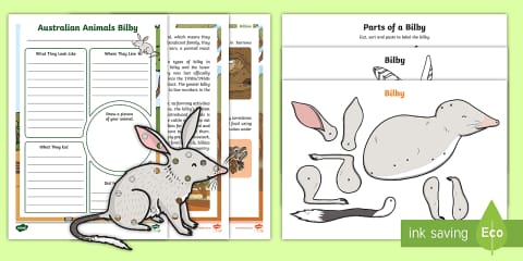The Rabbit vs The Bilby Venn Diagram Activity