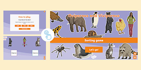 Oviparous and Viviparous Sorting Worksheet