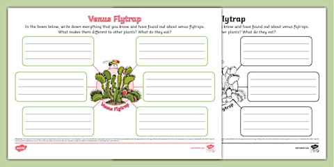 Describe a Venus Flytrap Worksheet