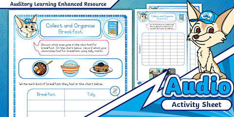 Grade 1 Maths - Term 3 - Data Handling - Collect and Organise Worksheet ...