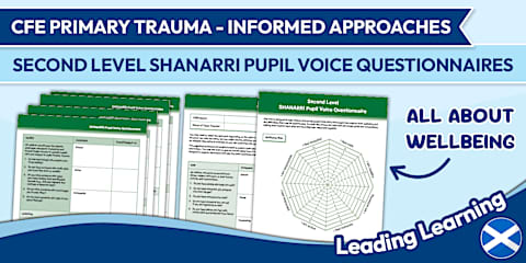Wellbeing Web Activity Sheet - Second Level