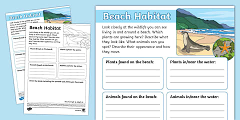 Design a Beach Worksheet