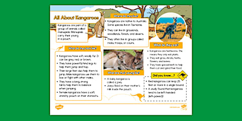 Second Grade Kangaroo Facts Reading Comprehension Worksheet