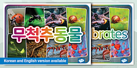 Vertebrates Photo Display Poster