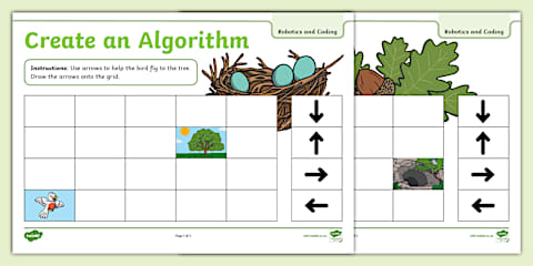 Grade R Robotics and Coding - Term 3 - Digital Concepts - Input and ...