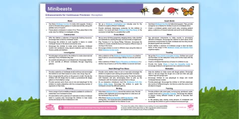 EYFS Minibeasts Continuous Provision Planning Ideas (Ages 2-4)
