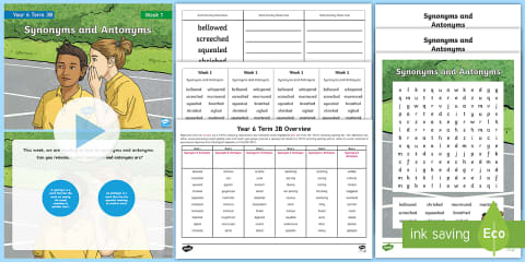 Year 6 Term 1B Week 1 Spelling Pack