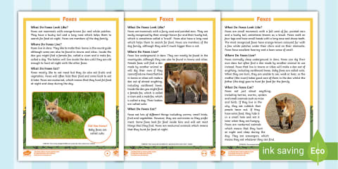 KS1 Rabbits Differentiated Fact File