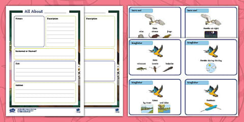 Birds Fact File Template
