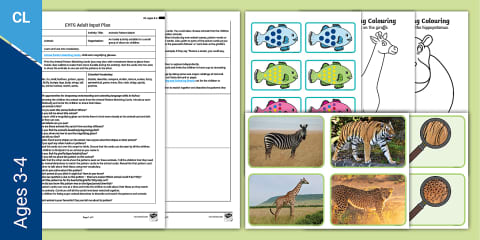 Facts about Bears EYFS Adult Input Plan and Resource Pack