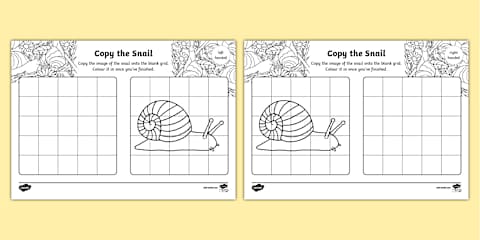 Design a Snail Shell Worksheet