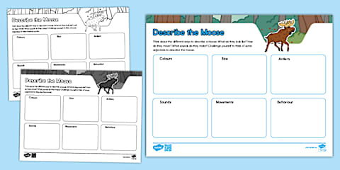Moose Adjectives Worksheet