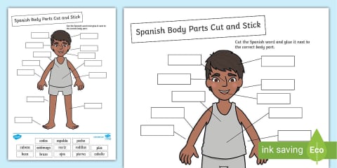 Spanish Parts of the Body Word Cards