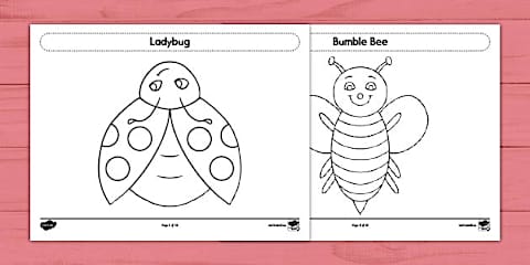 New Zealand Bugs and Insects Mindfulness Colouring Pages