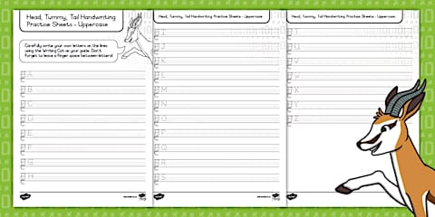 Cat Thirds Handwriting Lines