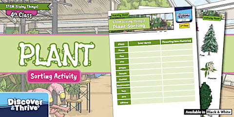 Plant Classification Sorting Activity