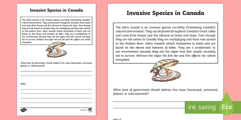 Invasive Species Fact File