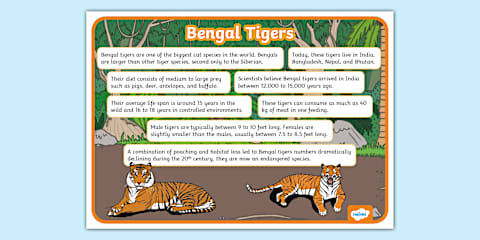 Endangered Species Day Bengal Tiger Differentiated Fact File