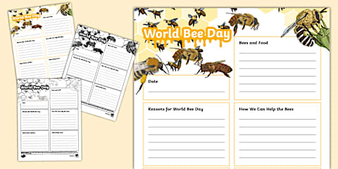 World Bee Day Junior Ultimate Teaching Pack