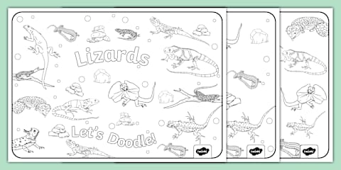 Lizards Colouring Sheet