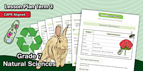 Grade 7 - Natural Sciences - Term 3 - Lesson Plan (CAPS Aligned)