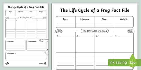 Frog Life Stages Sequencing Mind Map
