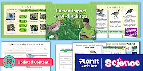 Science: Biodiversity: Birds: Migration Year 3 Lesson 4
