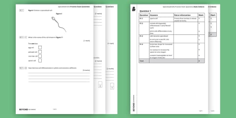 AQA GCSE Cell Biology Lesson 4: Specialised Cells