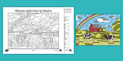 Sixth Grade Carbon Cycle Color by Number Activity