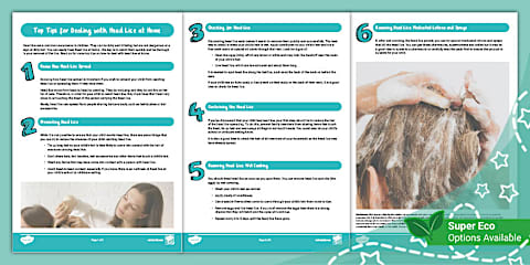 Head Lice Poster