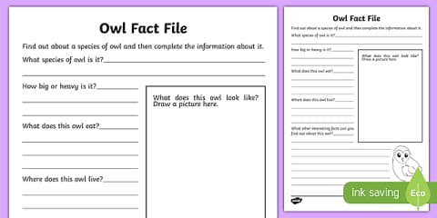 Owls Fact File Template
