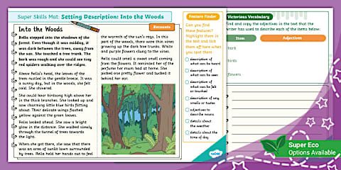 Rainforest Setting Description Example Text