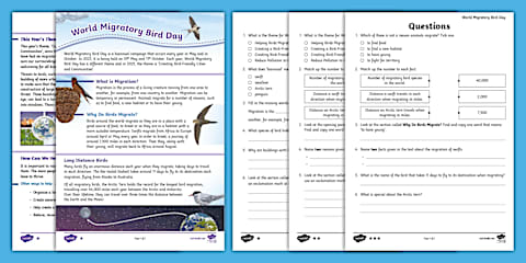 KS2 All about Garden Birds Reading Comprehension Activity