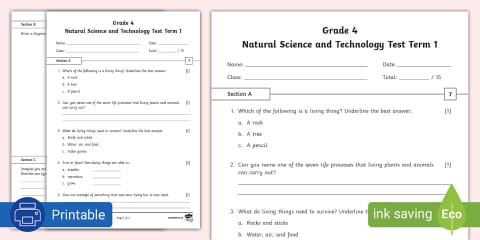 Grade 4 Natural Science and Technology - Term 2 - Examination (CAPS ...