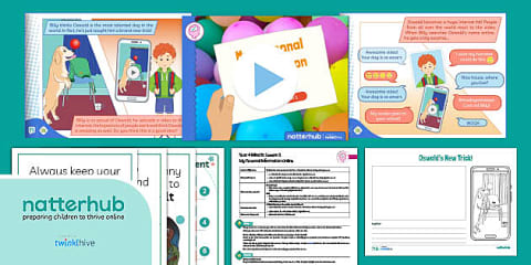 Computing: Online Safety: Too Much Information? Year 4 Lesson Pack 4