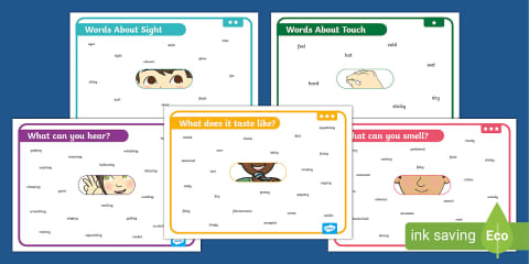 Five Senses Writing Word Bank Posters