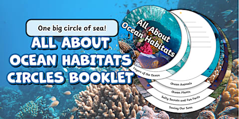 Australia's Oceans and Seas PowerPoint