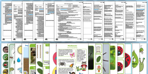 EYFS Minibeasts Activity Planning and Continuous Provision Ideas (Ages 2-4)