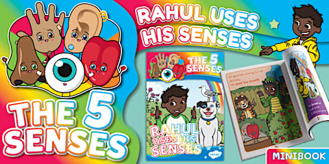 Senses Grade R Teacher Grade R LS Term 2 - Five Senses -Guide: 5 Senses (CAPS Aligned)
