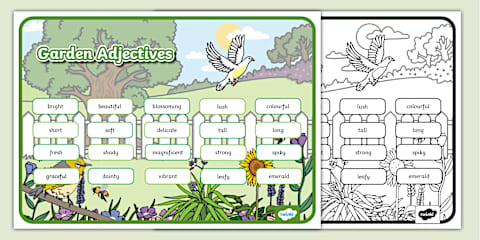 Adjactive Tree Adjectives to Describe a Tree Word Mat