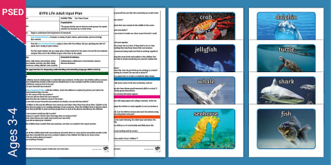PSED EYFS Our Class Tidy-up Checklist Adult Input Plan and Resource Pack