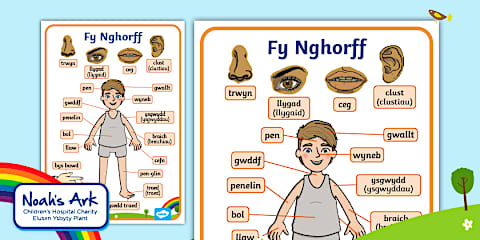 Parts of the Body Word Cards Welsh